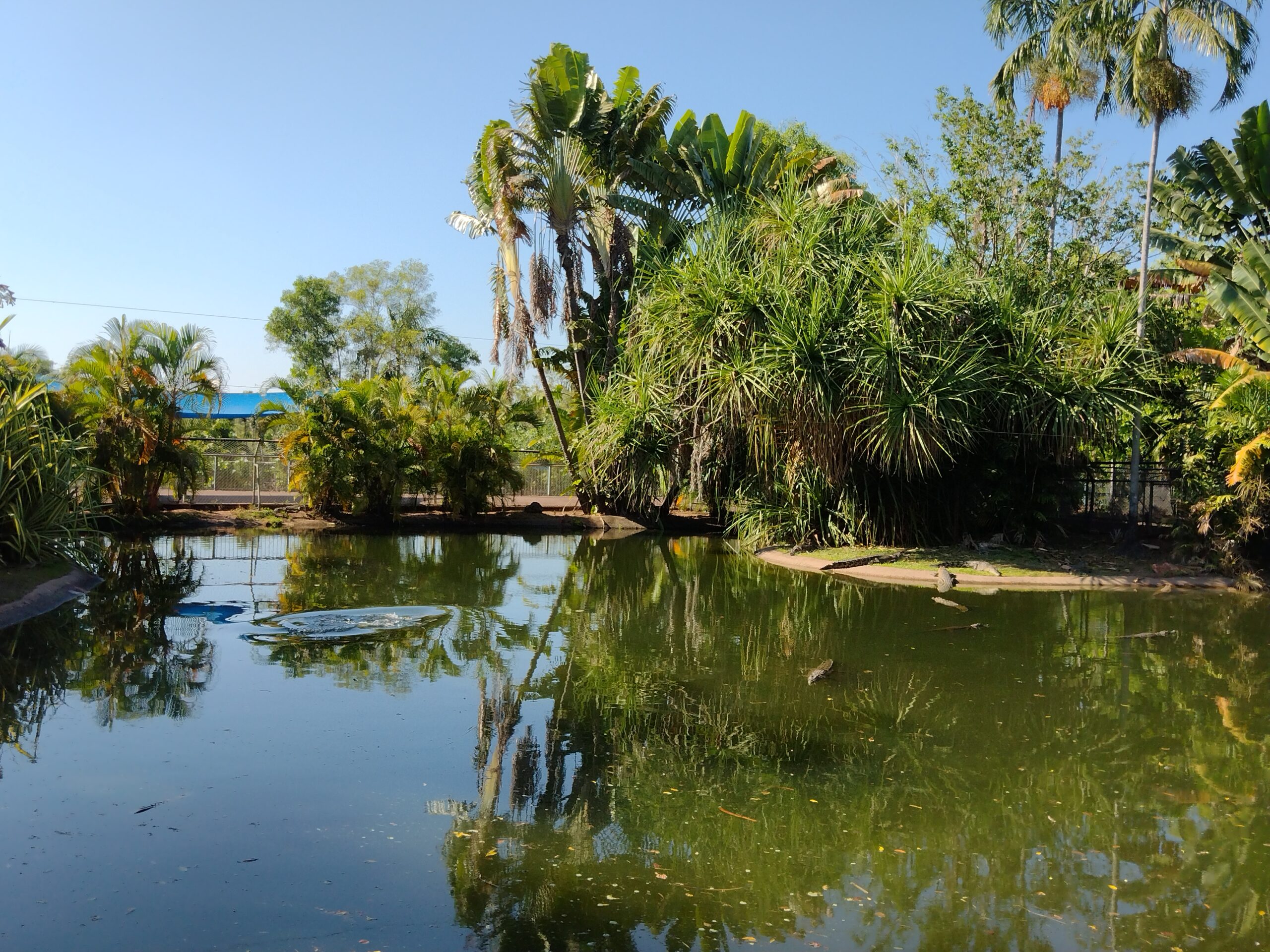 Litchfield Park Adventures and Jumping Crocodile Cruise + Butterfly Farm