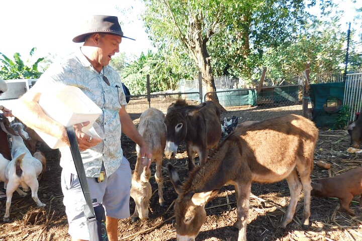 Litchfield Park Adventures and Jumping Crocodile Cruise + Butterfly Farm