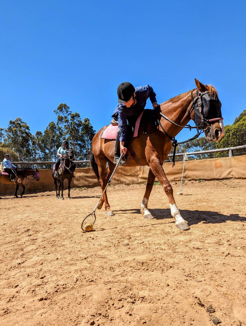 Exclusive Group Horse Riding Lesson (2-4 Riders) (1 hour)