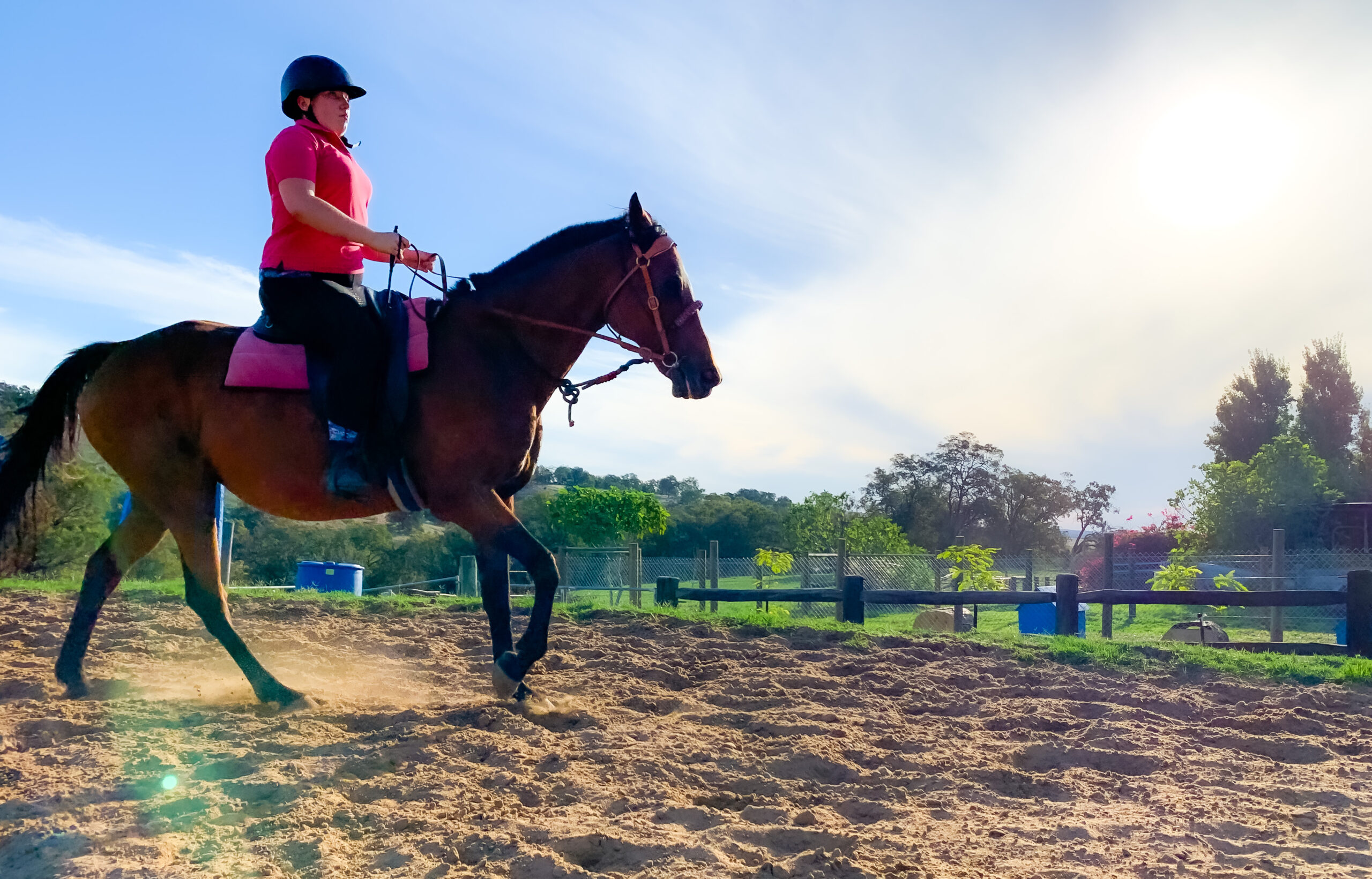 Private Horse Riding Lesson (1 hour)