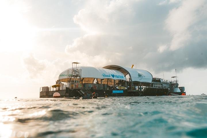 Heart Pontoon Great Barrier Reef Express