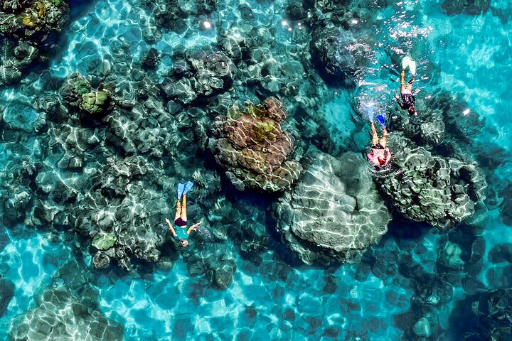 Ningaloo Reef Half-Day Snorkeling Bonanza from Glass Bottom Boat