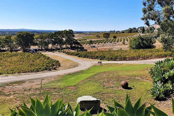 Half-day Private Barossa Valley Tour by Red Cab from Tanunda