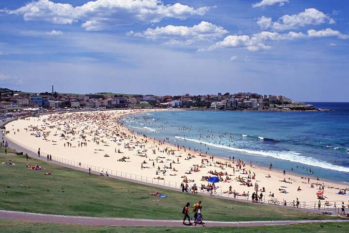 Sydney Shore Excursion: Half-Day Sydney City Highlights with Bondi Beach and Watsons Bay