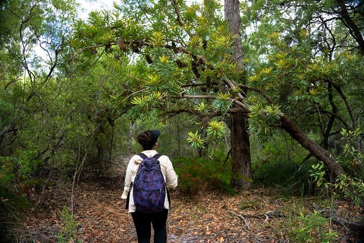 Pack-free Camping: Lake McKenzie Central Hike - 2 Days