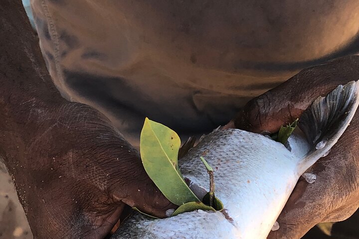 Indigenous Guided Fishing - Stradbroke Island