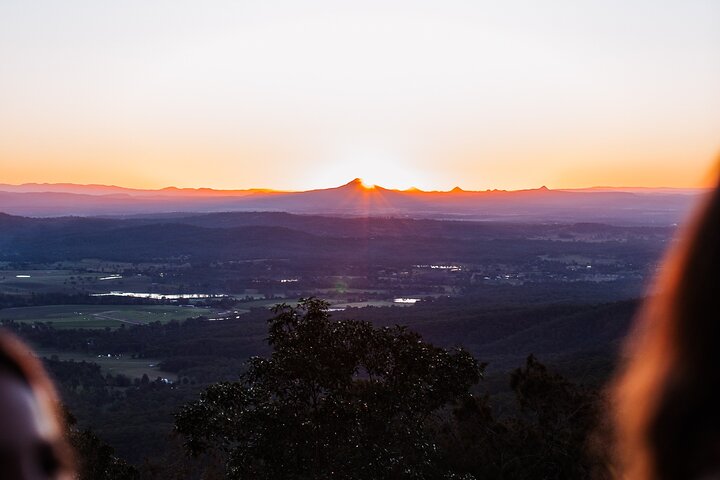 Full-day Wine-Tasting and Tamborine Mountain Tour with Lunch