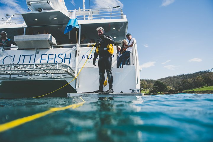 Deep-to-Dish: Tasmanian Seafood Experience - Morning Tour