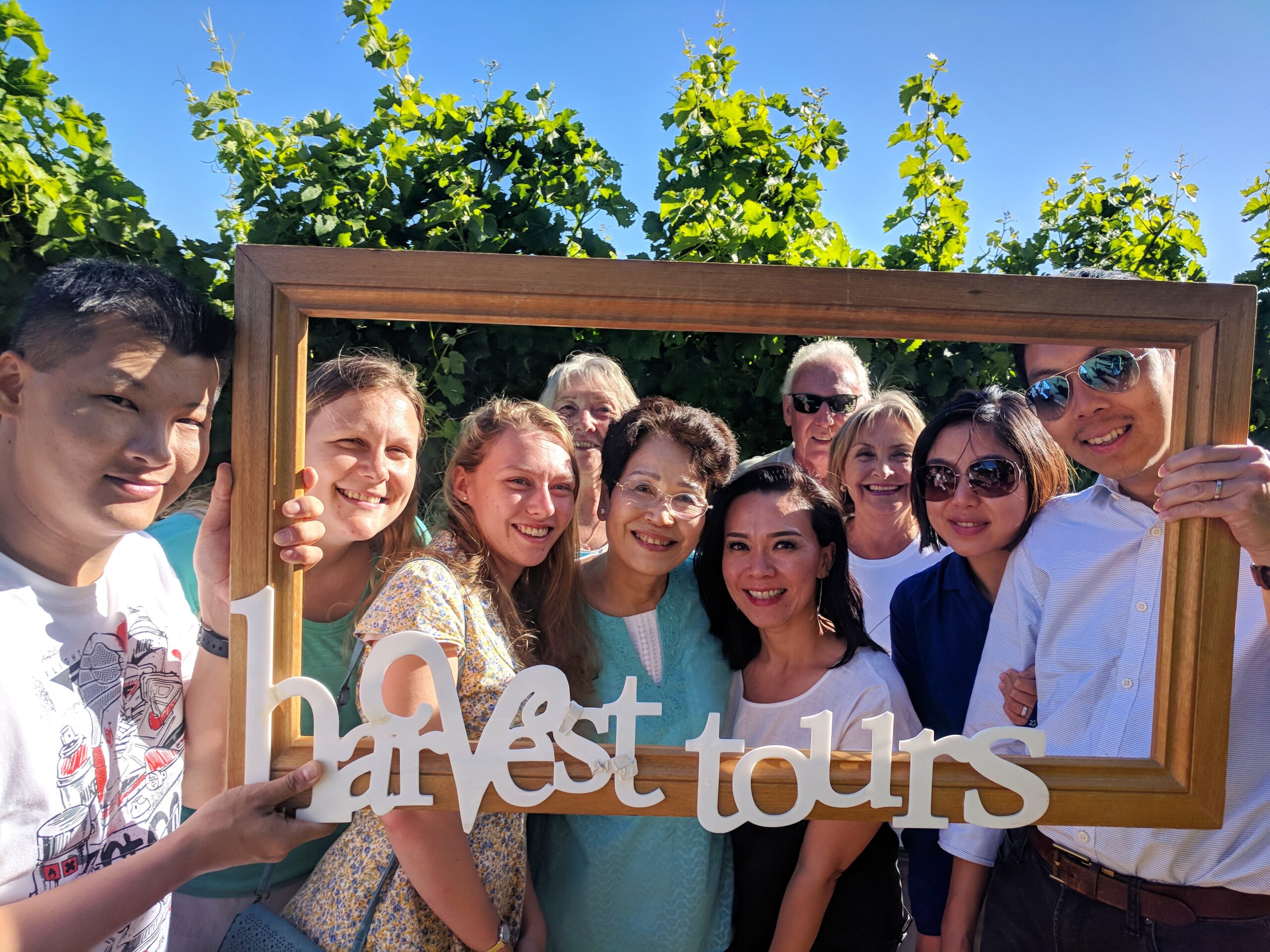 Full Day Wine Tour