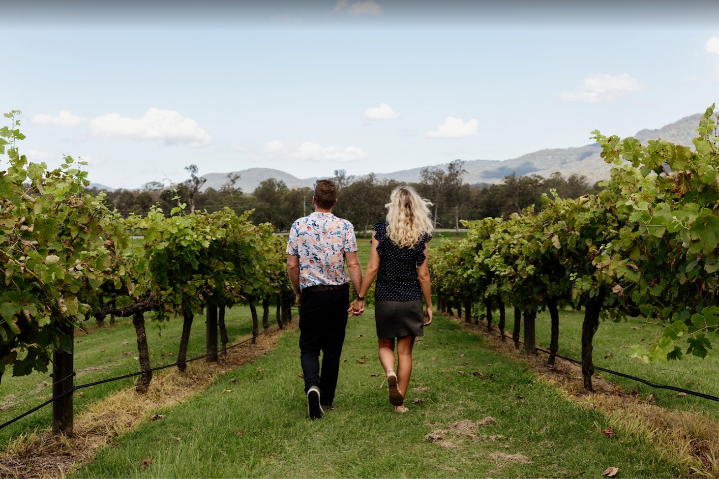 Premium Private Winery Tour in a new luxury vehicle