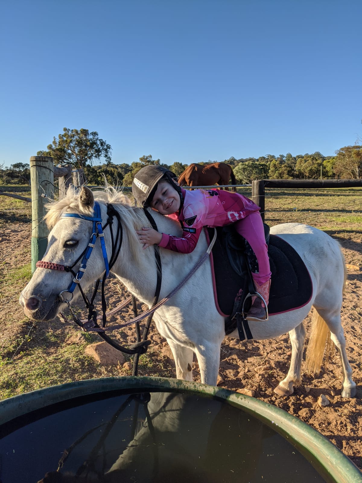 Private Horse Riding Lesson (1 hour)