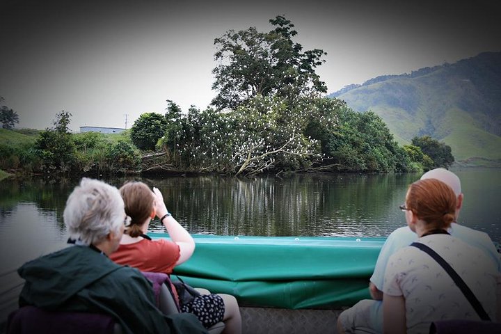 Daintree River Wildlife Cruise - Early Morning