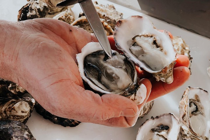 Deep-to-Dish: Tasmanian Seafood Experience - Morning Tour