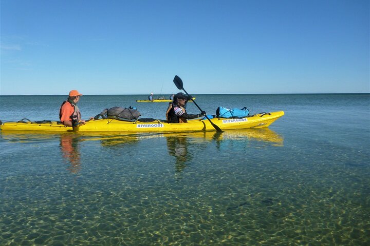 5-Day Camping Tour of Monkey Mia by Kayak