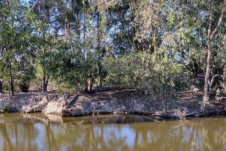 Litchfield Park Adventures and Jumping Crocodile Cruise + Butterfly Farm