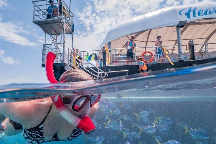 Heart Pontoon Great Barrier Reef Express