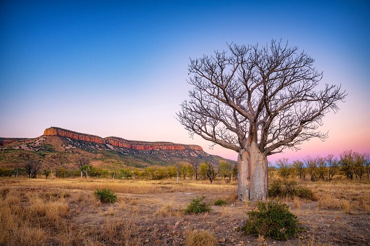 Coral Viewing, Snorkeling and Coastal Explorer Extravaganza Tour on Ningaloo Reef