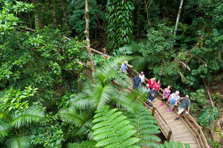 3 Day Great Barrier Reef, Daintree Rainforest and Outback Chillagoe Tour