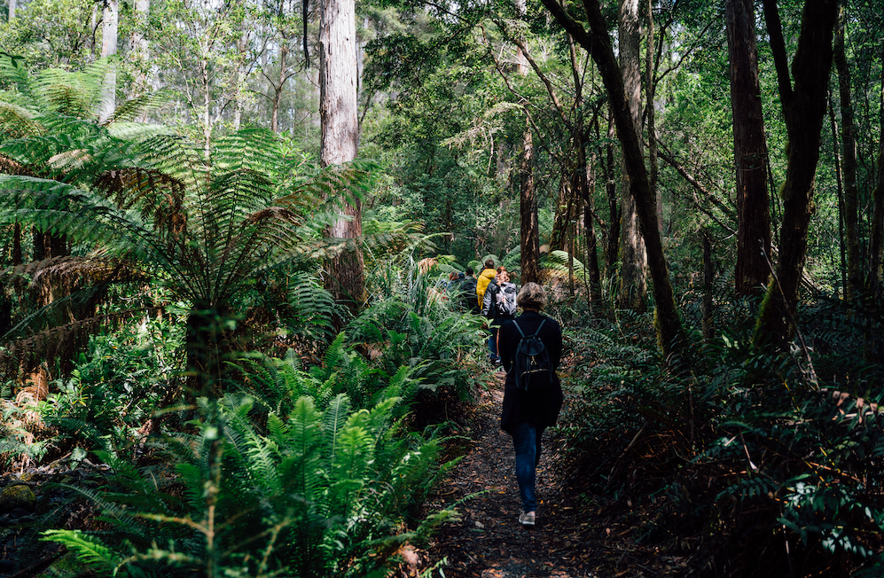 3 Day Tasmanian highlights Tour – Hobart, Port Arthur and Bruny Island