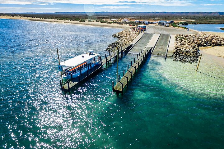 Coral Viewing, Snorkeling and Coastal Explorer Extravaganza Tour on Ningaloo Reef