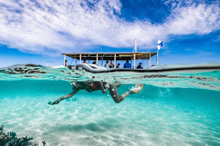 Coral Viewing, Snorkeling and Coastal Explorer Extravaganza Tour on Ningaloo Reef