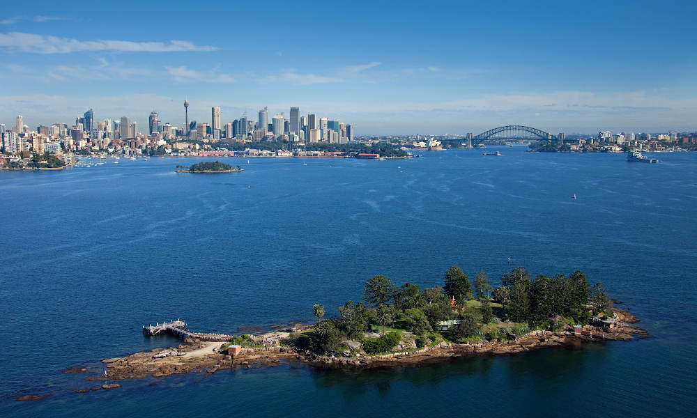 Taronga Zoo Entry and 1-Day Harbour Ferry Pass with Sky Safari