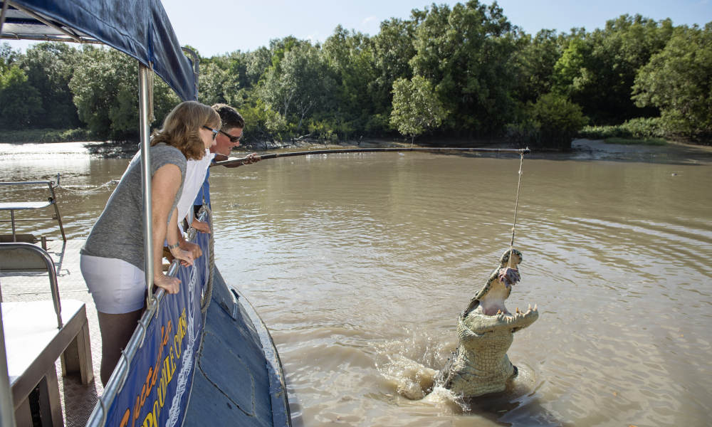 Jumping Crocodile Tour from Darwin