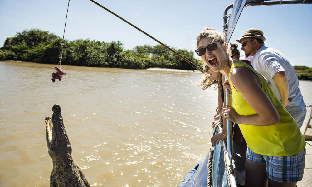 Jumping Crocodile Tour from Darwin