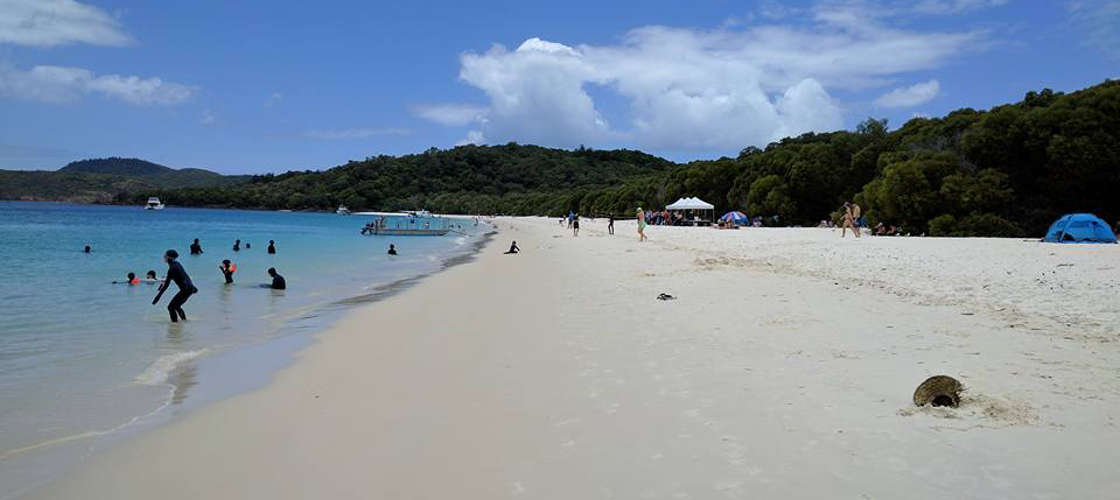 Whitsunday Islands and Whitehaven Beach Morning Departure