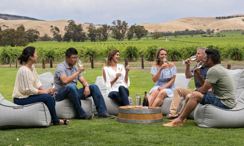 Vineyard Tour and Wine Tasting Private Group Experience