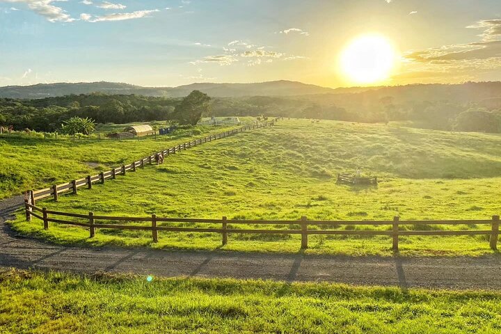 Kuranda ATV Mustering with Sunset Waygu BBQ