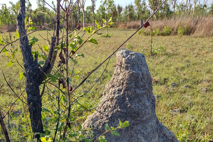 Litchfield Park Adventures and Berry Springs Nature Park