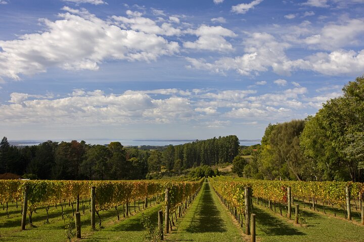 Mornington Peninsula Wine and Food Day Tour from Melbourne