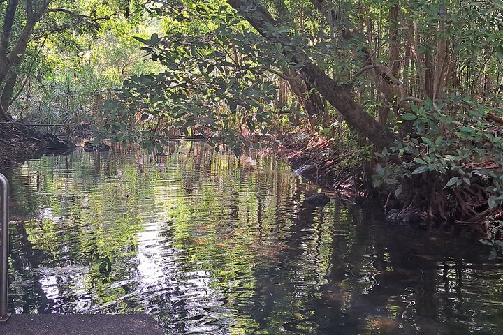 Berry Springs Nature Park and Jumping Crocodile