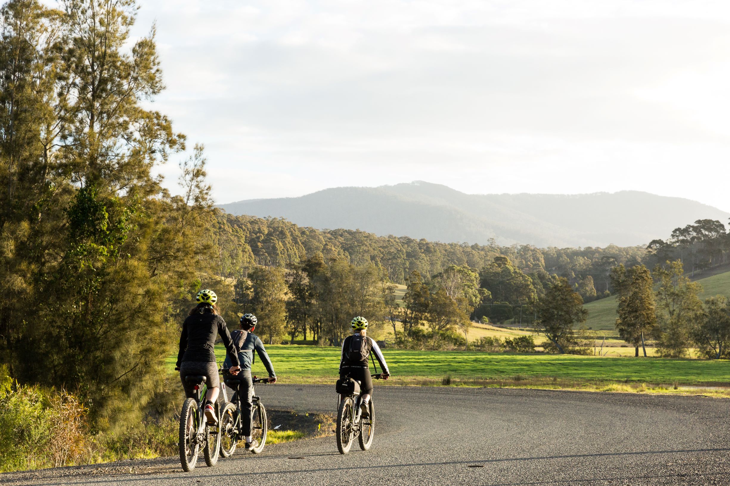 SELF GUIDED E-BIKE TOUR - PEDAL TO PRODUCE SERIES - NAROOMA TO TILBA VALLEY WINERY & ALE HOUSE VIA OLD HIGHWAY-  2 Hour E-Bike Hire with return transfers