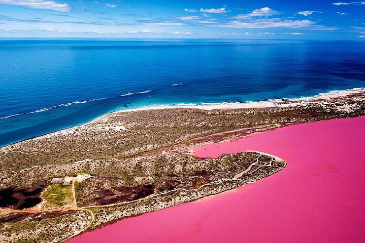 Pink Lake Small-Group Buggy Tour