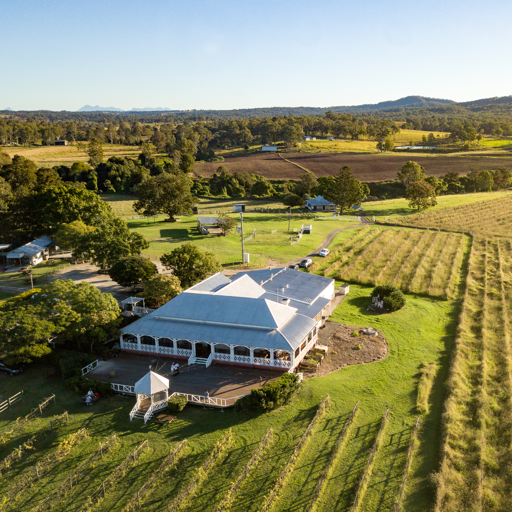 Private Tour - Splendour in the Vineyards (Tamborine Mountain) [Pickup from Brisbane]