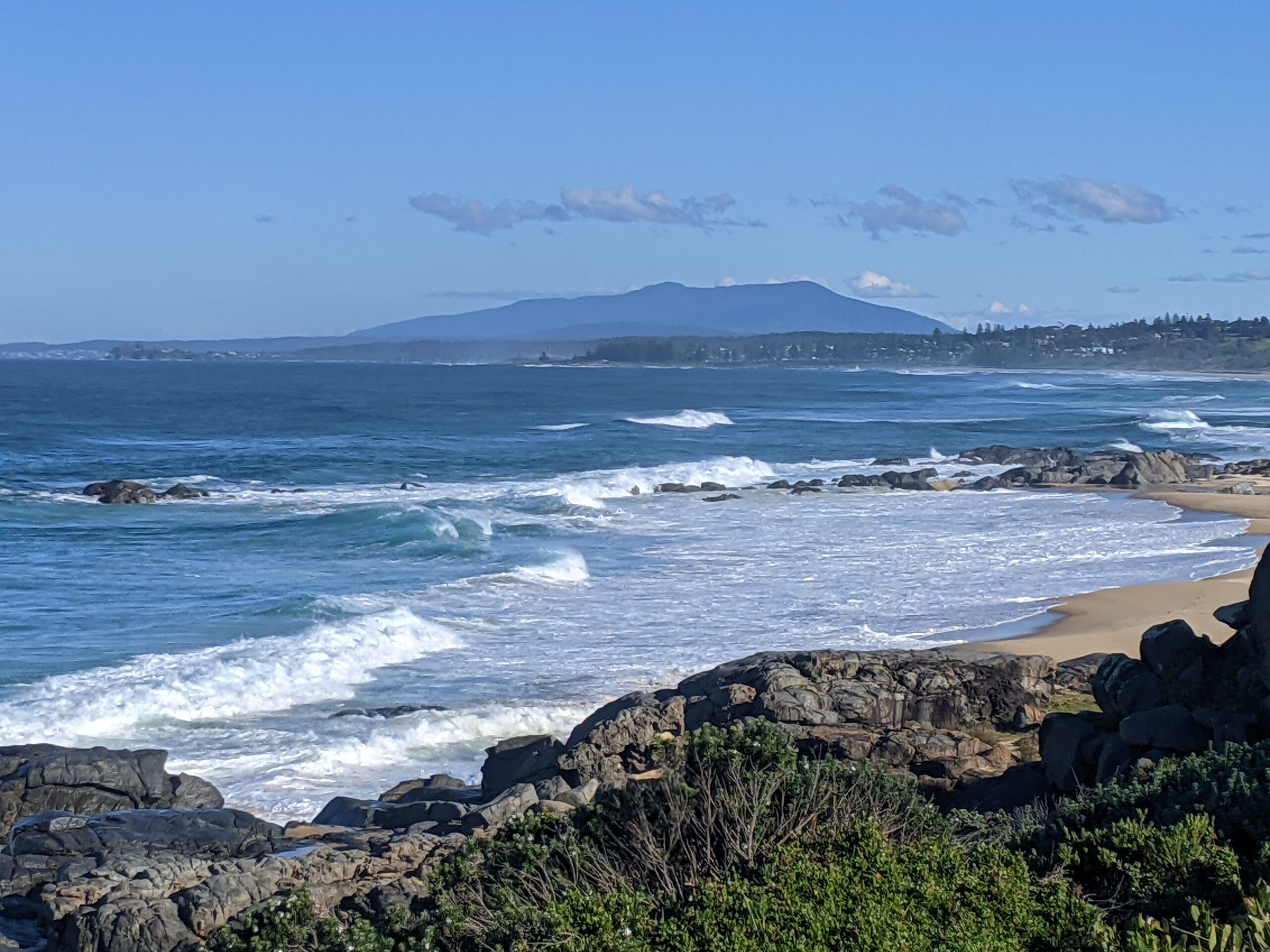 WELCOME TO COUNTRY - TREAD LIGHTLY WALKING TOUR WITH YUIN ELDER & LUNCH AT THE PICKLED OCTOPUS RESTAURANT TUROSS HEAD