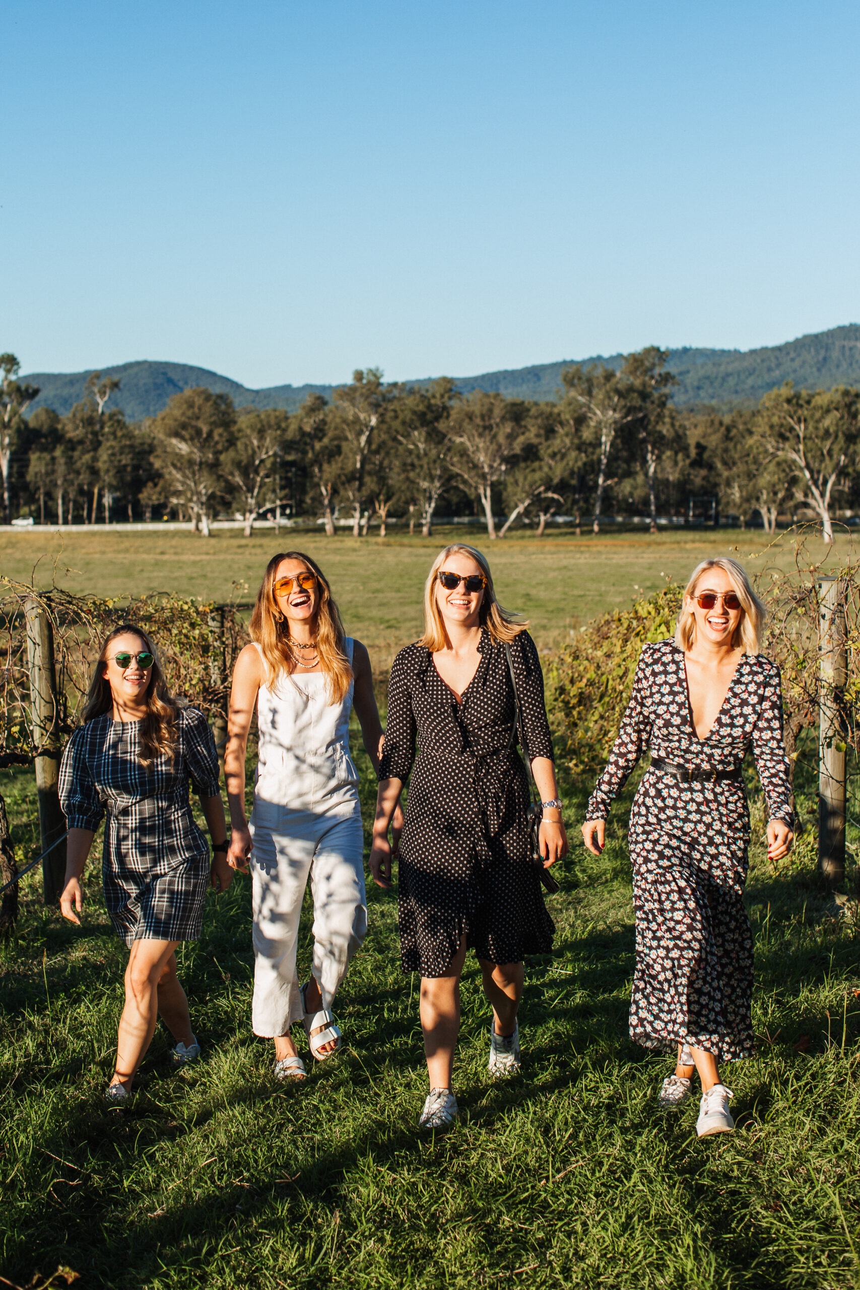 Private Tour - Splendour in the Vineyards (Tamborine Mountain) [Pickup from Brisbane]