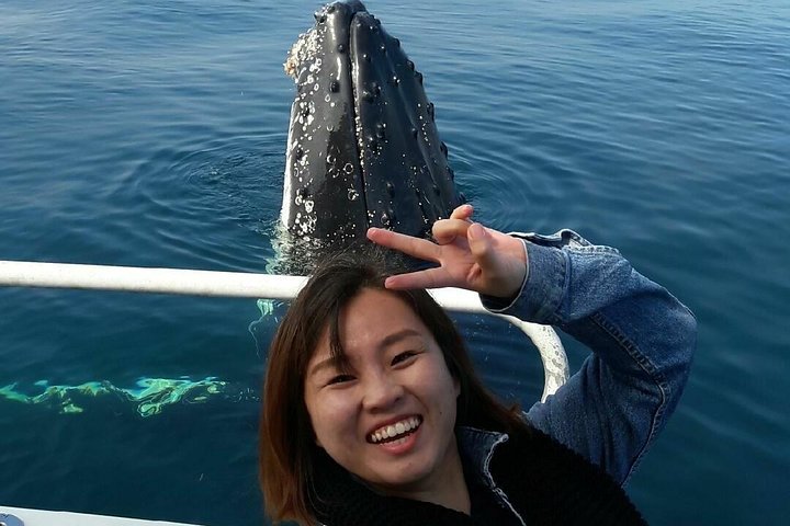 Whale Watching Dunsborough