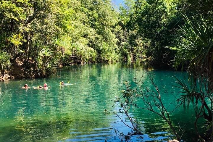 Berry Springs Nature Park and Jumping Crocodile