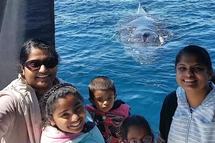 Whale Watching Dunsborough