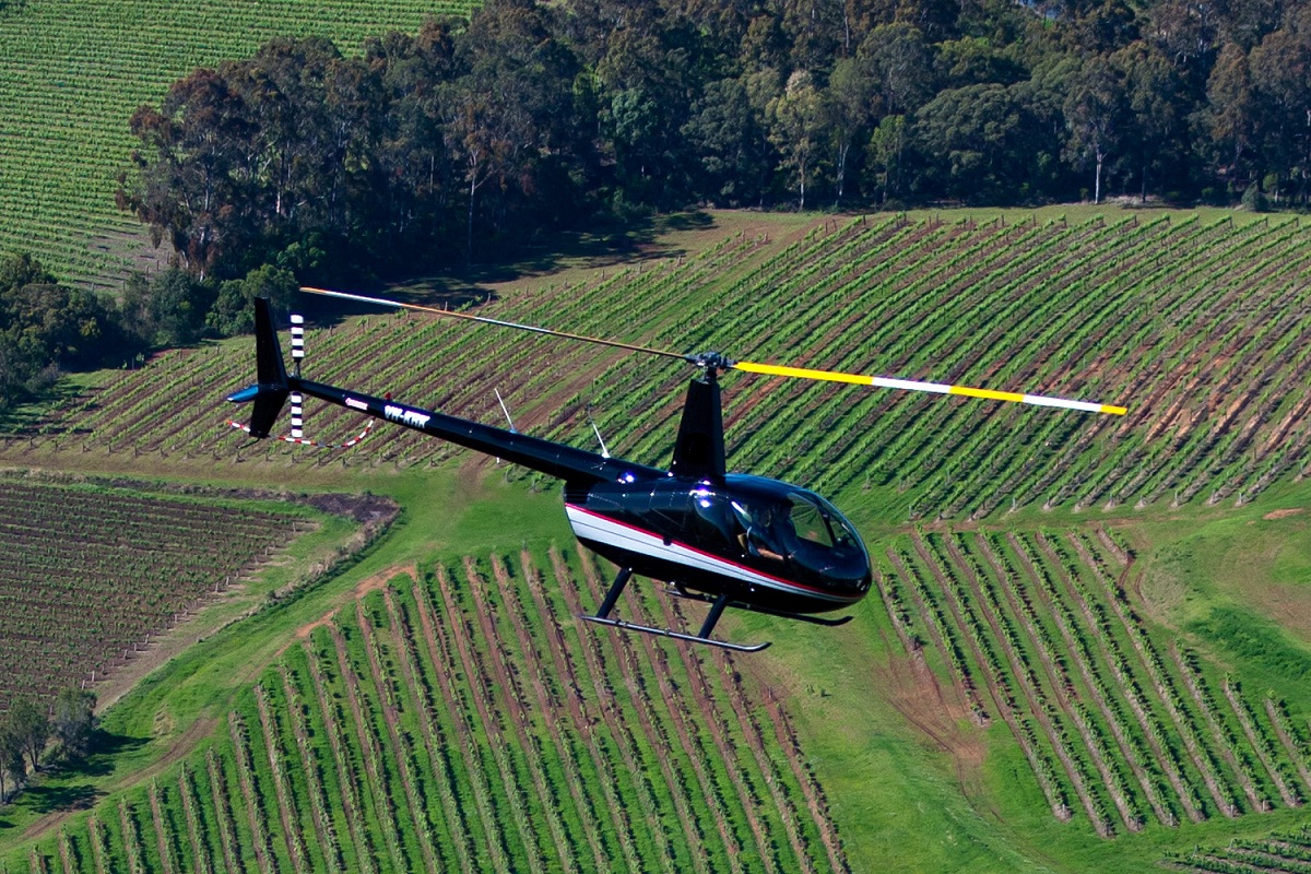 "Arrive in Style" Uncork the Hunter - Full Day Tour