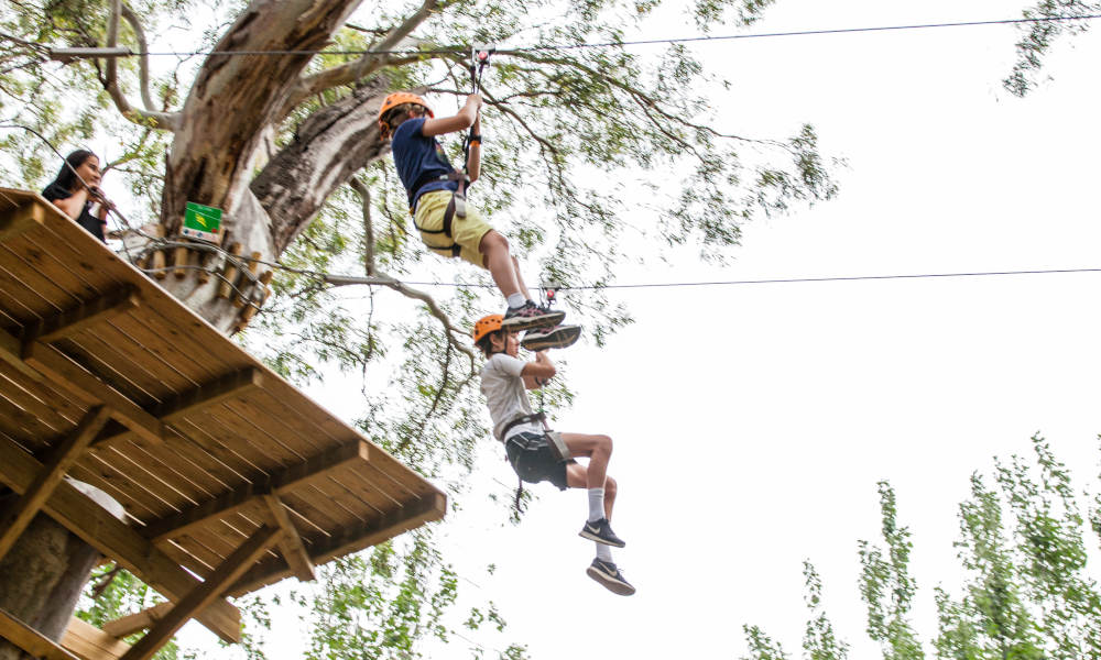 Adelaide TreeClimb Kids Course