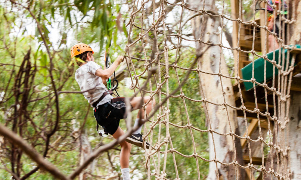 Adelaide TreeClimb Kids Course