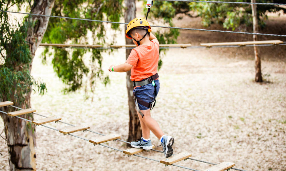 Adelaide TreeClimb Kids Course