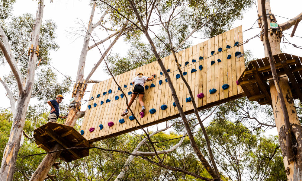 Adelaide TreeClimb Kids Course