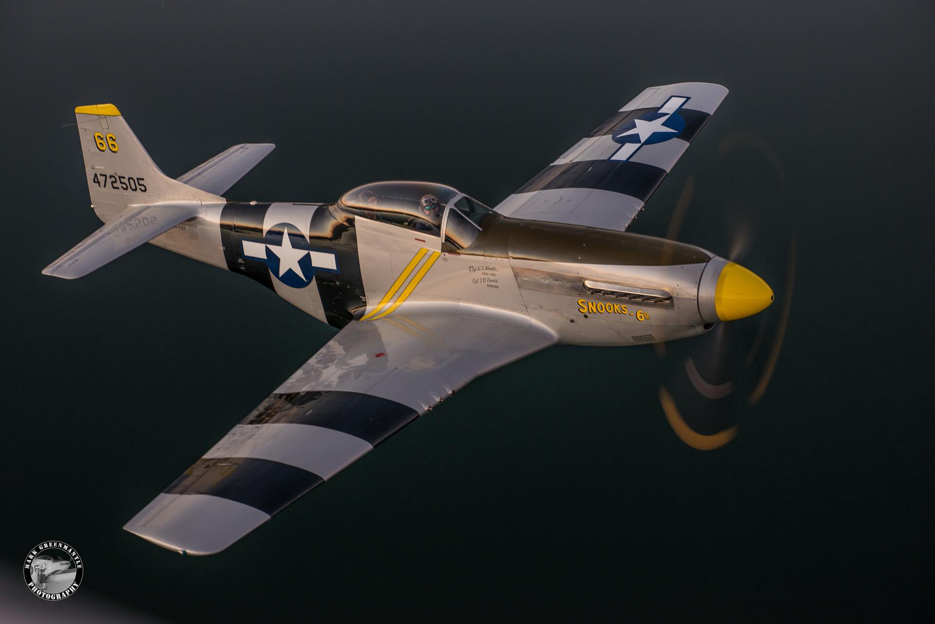 P-51 Mustang Platinum