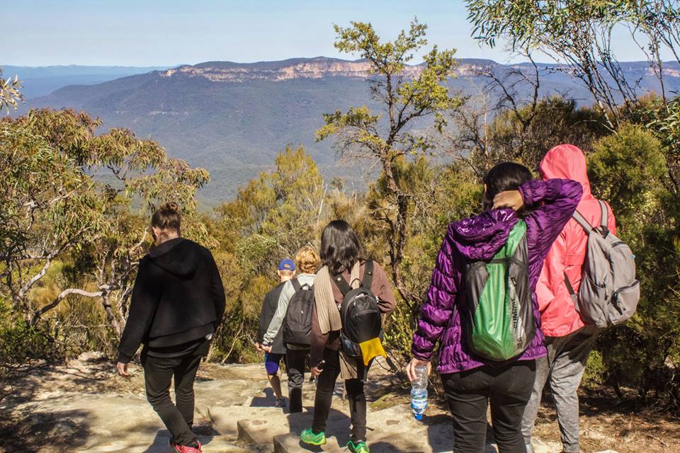 Blue Mountains Full Day Adventure | BBQ lunch | Wild Kangaroos | Waterfalls | Social