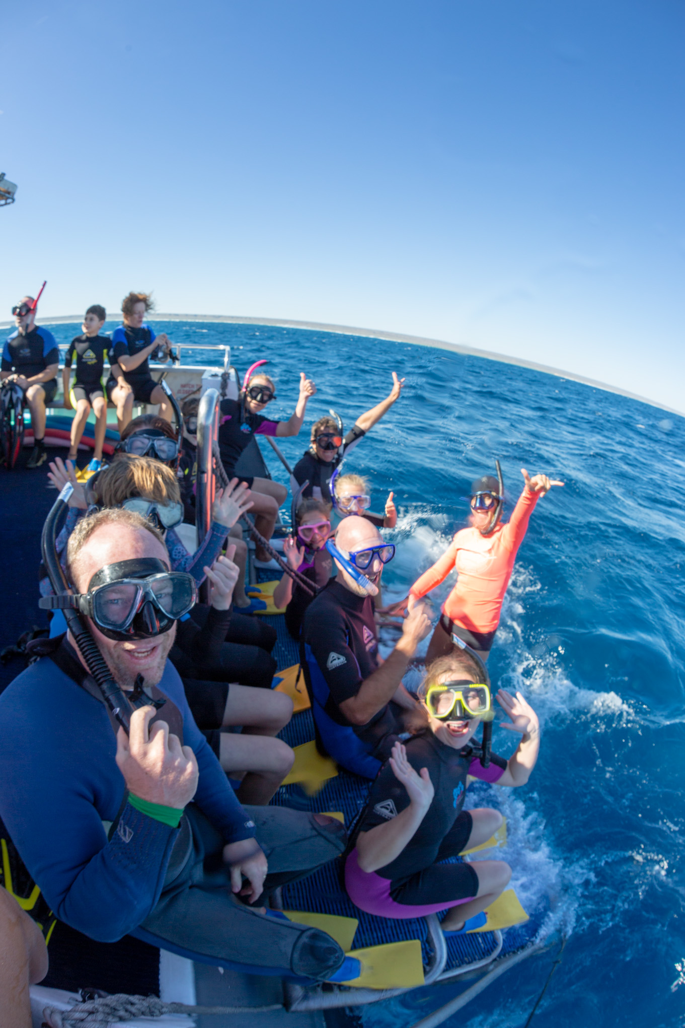 Snorkel and swim with Whale Sharks - the largest fish in the world! Or sit back and enjoy the view with a glass of Champaign from our 2 story vessel.